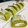 isiさとちん's cooksnap of when they made ふわっととける 超簡単 生チーズケーキ.
