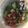 todachima's cooksnap of when they made タコとアボカドのサラダ.
