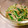ちびたっくん's cooksnap of when they made 水菜とえのきのレンジ蒸しツナ和え.