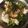 ルナＰボール's cooksnap of when they made 生野菜&豆腐のサラダ.