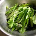 macky_'s cooksnap of when they made 水菜ちりめんじゃこサラダ.