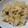 みゆりーた＊'s cooksnap of when they made 残り汁で簡単！節約♪炊き込みご飯.