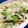 △▼NAO▲▽'s cooksnap of when they made まるごとレタスの韓国風ウマウマサラダ♪.