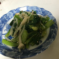 クックS3JNN2☆'s cooksnap of when they made 簡単！わさび菜ともやしのナムル.