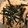 bird34's cooksnap of when they made しらたきの明太子和え.