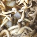 ココキキララ's cooksnap of when they made しめじと大根のお味噌汁.