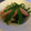 ひろぽんたまぽん's cooksnap of when they made 絹さやメインの白だしバター炒め.