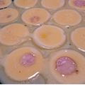ゆうきいた's cooksnap of when they made たこ焼きのシンプルな食べ方☆塩とレモンで.