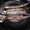 りんぞう's cooksnap of when they made ししゃもソテー.