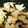 こーぉママ's cooksnap of when they made たけのことわかめの味噌煮.