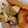 ゆのほなッチ★'s cooksnap of when they made 豚バラとかぼちゃの甘みそ炒め.