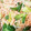 ニムークパパ's cooksnap of when they made 野菜と油揚げの煮浸し.