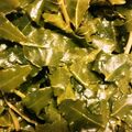 あらもーど好き's cooksnap of when they made 山椒の葉　佃煮.