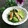 Dellaたん's cooksnap of when they made 小松菜！ 薄揚げ！ 白だし！.