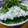 えりにゃママ's cooksnap of when they made ほうれん草と大葉のおひたし.