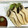barirarira's cooksnap of when they made 安くて簡単！エリンギの刺し身.
