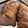 はむはむやみぃ's cooksnap of when they made めちゃうまチャーシュー（普通鍋・圧力鍋）.