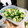 kohaku_01's cooksnap of when they made 中華風簡単きゅうりとカブの漬物.