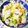 ふれんでぃあ's cooksnap of when they made 焼売と野菜の蒸し焼き　フライパンで.