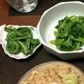 nyankoにゃん's cooksnap of when they made 超簡単♪こごみのおひたし.