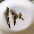 Jyohana's cooksnap of when they made マテ貝＊酒蒸し.