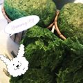 tokuuniyou's cooksnap of when they made 簡単！よもぎのケーキ.