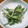 にゃ★にゃ's cooksnap of when they made こごみのゴママヨ和え.