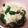 ゆか＊みく's cooksnap of when they made おくらと湯葉のおひたし.
