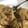 海ちゃん大好き♡'s cooksnap of when they made 給食風揚げパン♡.
