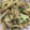 kona8's cooksnap of when they made 旨っ♪筍とじゃが芋のカレーミンチ炒め♡.