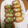 くらちこ's cooksnap of when they made こどもの日 こいのぼりおいなりさん.