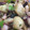クックSXM10J☆'s cooksnap of when they made タコとじゃがいものペペロン風.