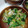 なたるな's cooksnap of when they made 小松菜と白菜のごま和え.