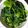 クックmacha☆'s cooksnap of when they made 基本の副菜 ほうれん草のごま和え.