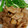 さほまむ's cooksnap of when they made 豚コマバターしょうゆ焼き.