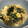 クックKI1TP0☆'s cooksnap of when they made *もずく卵のあんかけうどん*柚子胡椒風味.