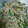 クック45JPCG☆'s cooksnap of when they made モヤシとシーチキンの和え物.