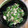 クックHVSZAT☆'s cooksnap of when they made ピーマンとツナの塩こんぶ大根おろし和え.