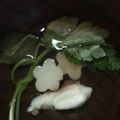 ゆーとの母's cooksnap of when they made 絶品♡鯛のお吸い物.