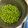 libero126's cooksnap of when they made シンプル過ぎる！！えんどう豆の塩ゆで.