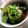 macky_'s cooksnap of when they made レモングラスとトマトのエスニック風スープ.
