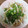 amadokoro's cooksnap of when they made じゃことかまぼこのさっと炒め.
