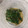 starwars3's cooksnap of when they made いんげん★胡麻和え【超簡単もう1品！】.