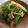 orai's cooksnap of when they made 絹さやとベーコンのニンニク炒め.