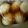 misakitcen's cooksnap of when they made ✿漬け込むだけ!!　簡単あじたま✿.