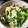 neru★neru's cooksnap of when they made 絶品！新たまねぎとしめじ、絹さやの卵とじ.