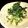 gabu☆'s cooksnap of when they made 白菜とツナのばら干しサラダ.