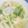 プルプルプルメリア's cooksnap of when they made 鶏のねぎ塩うどん.