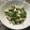 Kaoruby's cooksnap of when they made グリーンピース炒め 炒豌豆.