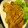 つっちーの嫁's cooksnap of when they made てりてり★豚のしょうが焼き.